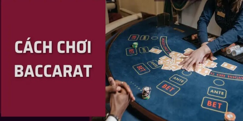 Hướng dẫn chi tiết về cách chơi Baccarat cho các tân binh