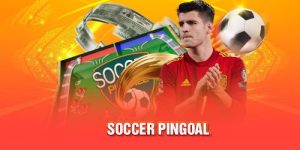 Soccer Pingoal Là Gì Và Cách Tham Gia Siêu Đơn Giản